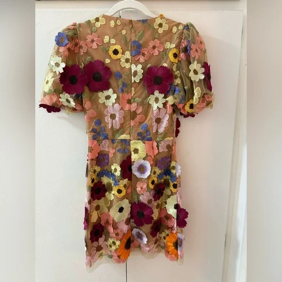 Elliatt Floral Embroidered Mesh Mini Dress in Multi-Color - Picture 2 of 6